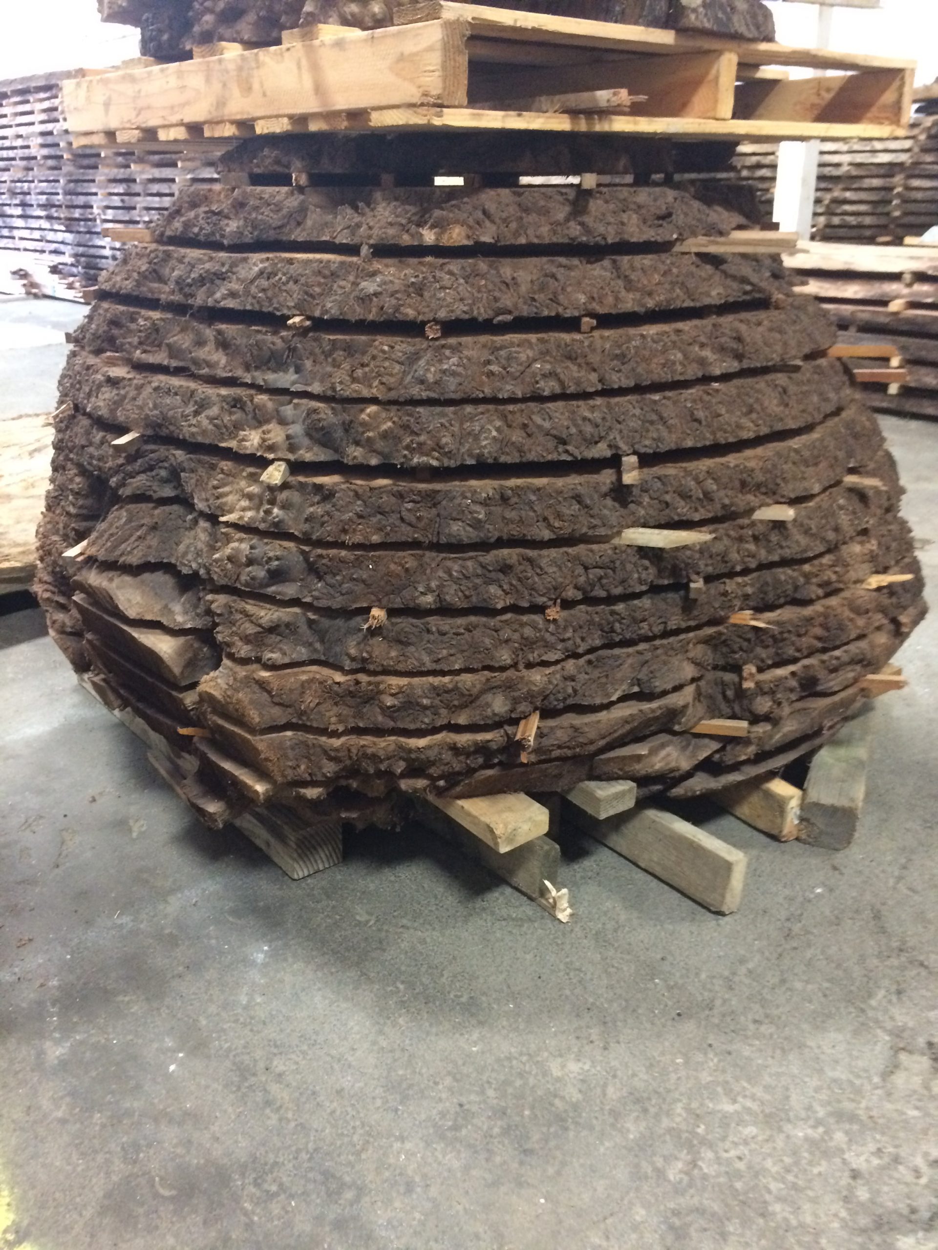 Timber – MHM Technologies Inc.