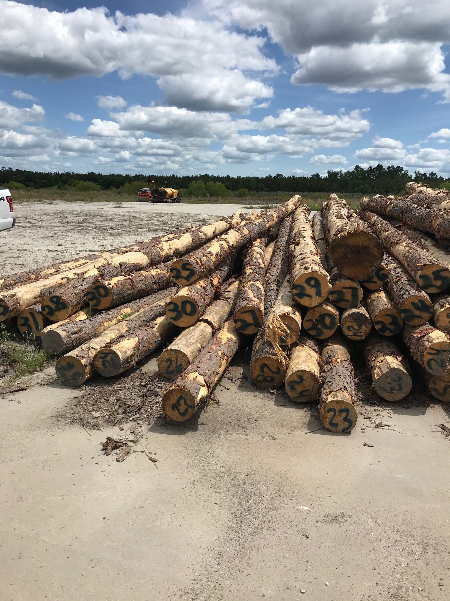 Timber – MHM Technologies Inc.