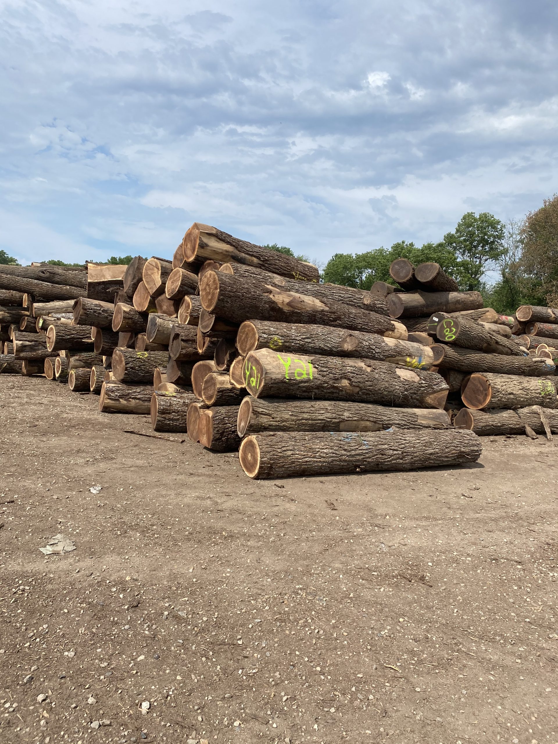Timber – MHM Technologies Inc.